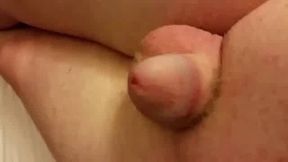 My Little Shaved Penis in Panties: Amateur Bear Crossdresser