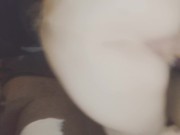 Freak Trailer Park Trash Rides Docs Pole