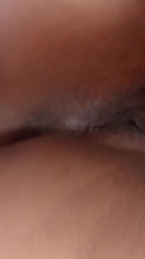 Will the dolphin help me?   Clip 1