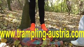 German Proll Trample
