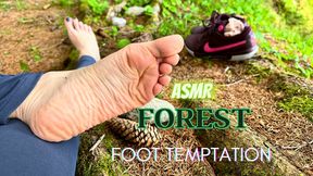 ASMR Forest temptation