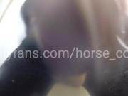Everything you want. Ass, Cock, Cum. In POV.