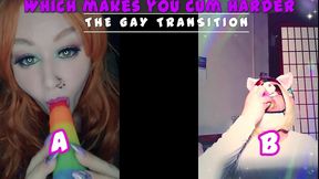 the gay transition this is your starting point newbies