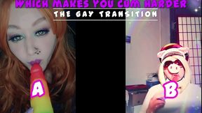 the gay transition this is your starting point newbies