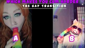 the gay transition this is your starting point newbies