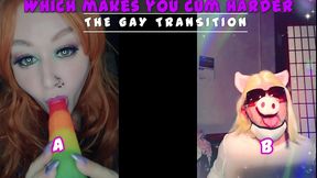 the gay transition this is your starting point newbies