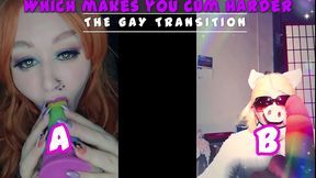 the gay transition this is your starting point newbies