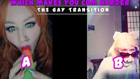 the gay transition this is your starting point newbies