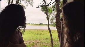 Peitinho empinado Muda novela Pantanal