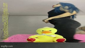 Teddy 16