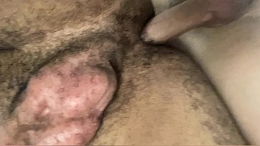 RABO GULOSO LEVANDO 22CM