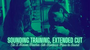 Sounding Training, Extended: Teaching Silk Shadows to Sound