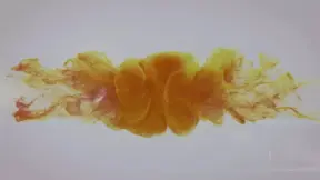 Cornered beauties in juicy network get wet and puffy