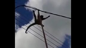Zanotelli tentando dar pro Diego