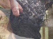 Tit slapping in black fishnets - Trailer