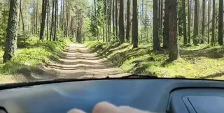 Married cutie gets lost in the forest and you save her.