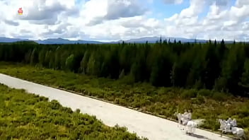 kim jong-un private video****