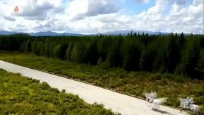 kim jong-un private video****