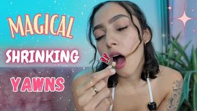 MAGICAL SHRINKING YAWNS