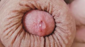 Close-up precum and cum horny uncut guy playing with long foreskin cumshot
