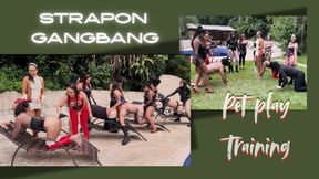Strapon Gangbang Petplay training