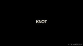 Knot 2 - Lady Bug
