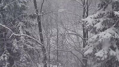 Christmas Horror Stories that took Place During Snowstorms