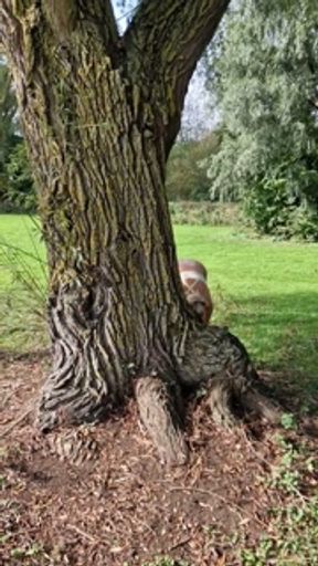 Courtney Sins - Blonde Milf Getting Naked in Public