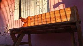 She spends the afternoon scratching her feet and wrinkled soles (7)