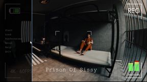 Prison of Sissy 7 Getting Fucked in the Ass Was Not What He Planned