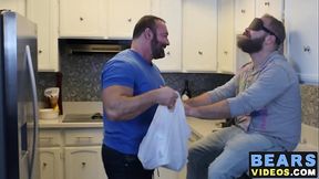 Grizzly fat bear cock polished hard by his hairy a nasty cub