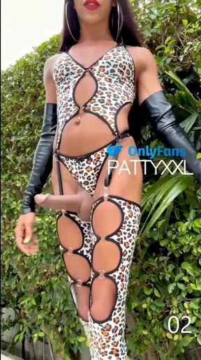 Comp. TS P@tr1c1@ F3rn@nd3s