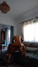 Loira recebe uma foda de amigo com o pénis enorme