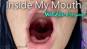 Inside My Mouth - Little Rampage - HD 720 WMV