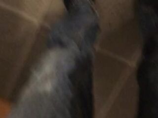 pissing jeans compilation