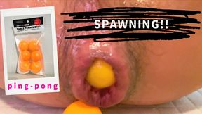 A Chinese stud used a ping pong ball to spawn in his rectum. [HD quality