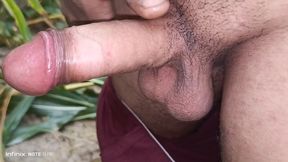Indian cock holding and masturbation in the corn field