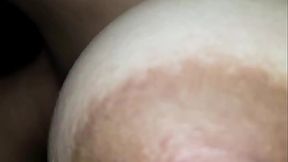 Mi morra y yo en el hotel