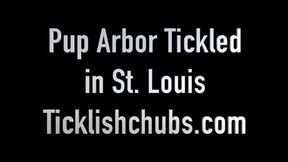 Pup Arbor Tickled in St Louis