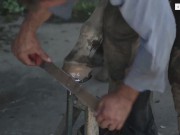 Raw rodeo scene 4