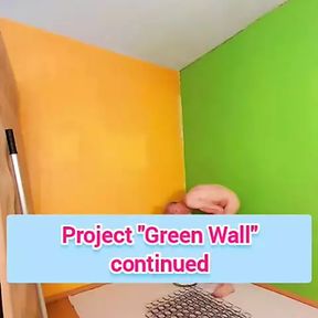 Project &quot;Green Wall &quot; continued