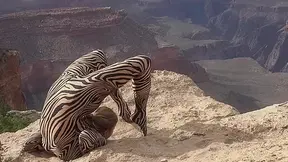 Contortion Performance On Grand Canyon - Watch4Fetish