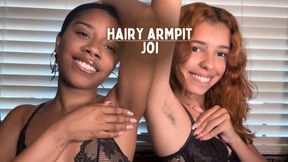 Hairy Armpit JOI 4K