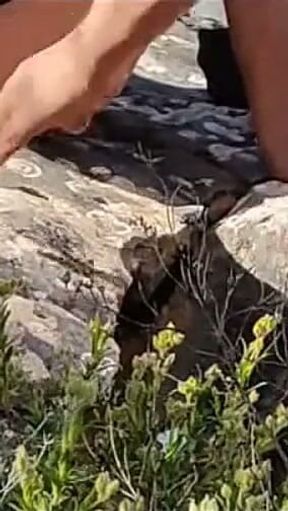 Moranguinho Dominated Outdoors 1