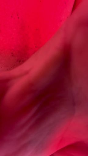 Tanning Booth Thong
