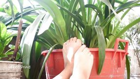 Feet in the garden