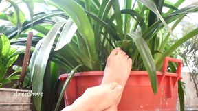 Feet in the garden