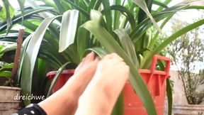 Feet in the garden