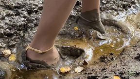 Stuck in mud, Carolina Herrera sandals wrecked in mud, high heels forest walk, high heels sinking in mud, high heels sandals ruined in mud