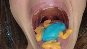 A Digestion Lesson (LickThisRN)